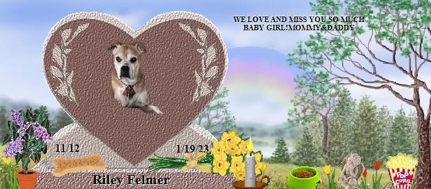 Riley Felmer's Rainbow Bridge Pet Loss Memorial Residency Image