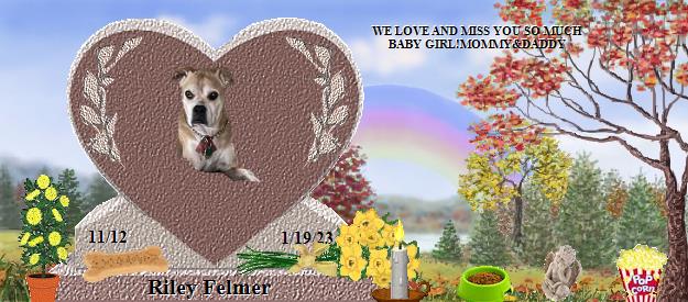 Riley Felmer's Rainbow Bridge Pet Loss Memorial Residency Image