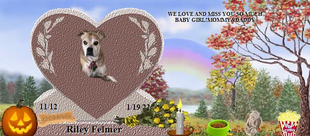 Riley Felmer's Rainbow Bridge Pet Loss Memorial Residency Image