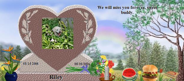 Riley's Rainbow Bridge Pet Loss Memorial Residency Image