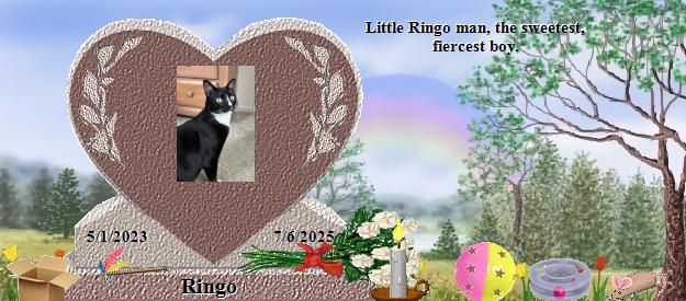Ringo's Rainbow Bridge Pet Loss Memorial Residency Image
