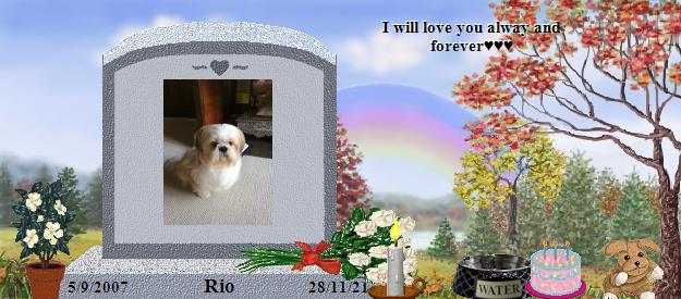 Rio's Rainbow Bridge Pet Loss Memorial Residency Image