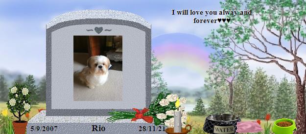 Rio's Rainbow Bridge Pet Loss Memorial Residency Image