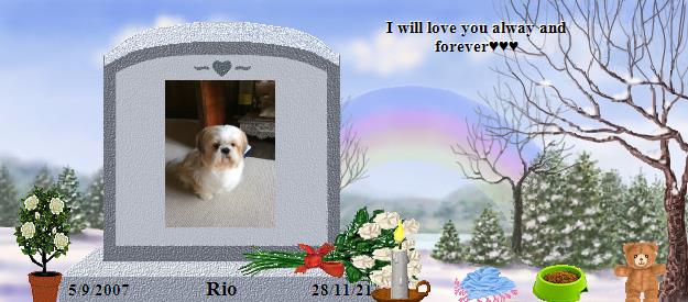 Rio's Rainbow Bridge Pet Loss Memorial Residency Image