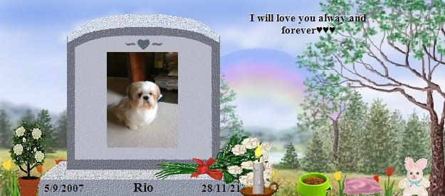 Rio's Rainbow Bridge Pet Loss Memorial Residency Image