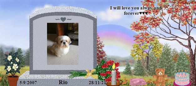 Rio's Rainbow Bridge Pet Loss Memorial Residency Image