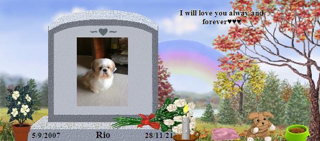 Rio's Rainbow Bridge Pet Loss Memorial Residency Image