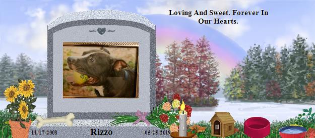 Rizzo's Rainbow Bridge Pet Loss Memorial Residency Image