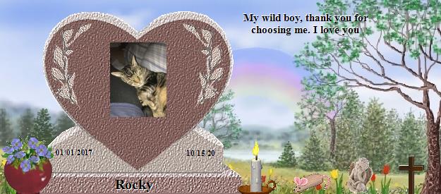 Rocky's Rainbow Bridge Pet Loss Memorial Residency Image