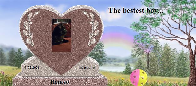 Romeo's Rainbow Bridge Pet Loss Memorial Residency Image