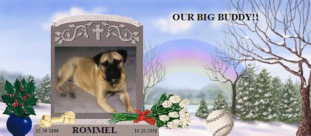 ROMMEL's Rainbow Bridge Pet Loss Memorial Residency Image