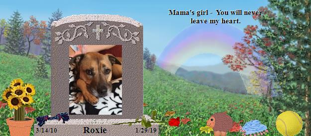 Roxie's Rainbow Bridge Pet Loss Memorial Residency Image