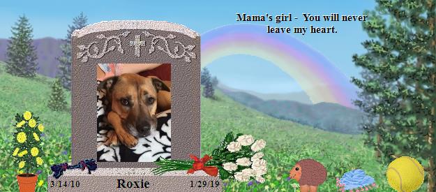 Roxie's Rainbow Bridge Pet Loss Memorial Residency Image