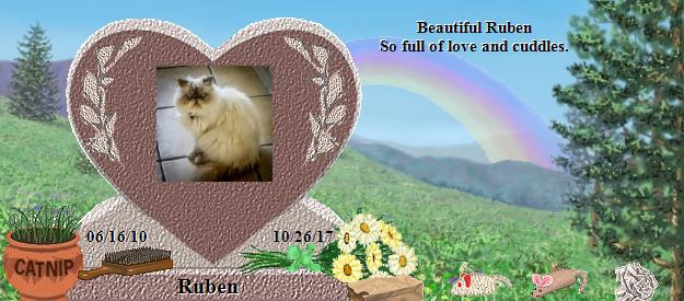 Ruben's Rainbow Bridge Pet Loss Memorial Residency Image