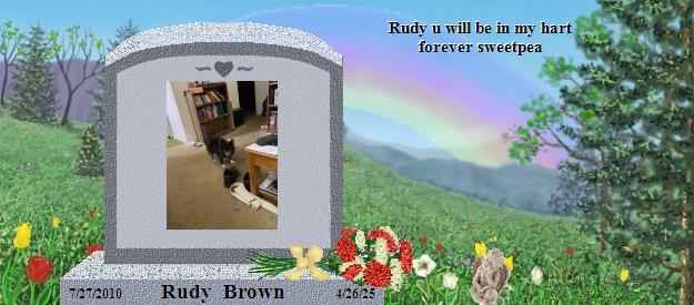 Rudy  Brown's Rainbow Bridge Pet Loss Memorial Residency Image