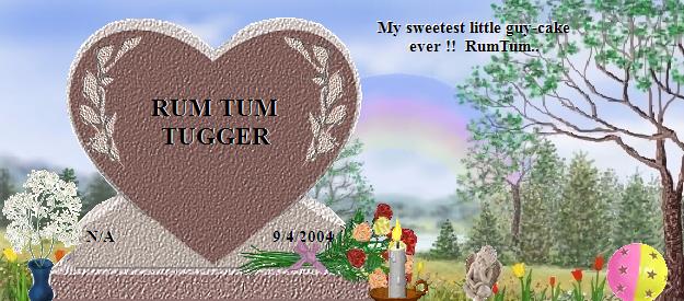 RUM TUM TUGGER's Rainbow Bridge Pet Loss Memorial Residency Image