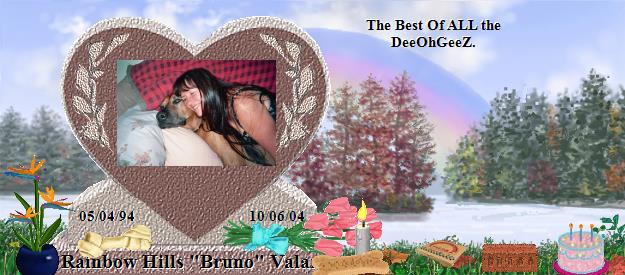 Rainbow Hills "Bruno" Valar's Rainbow Bridge Pet Loss Memorial Residency Image