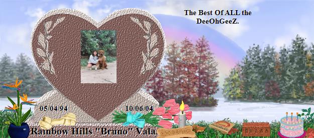 Rainbow Hills "Bruno" Valar's Rainbow Bridge Pet Loss Memorial Residency Image