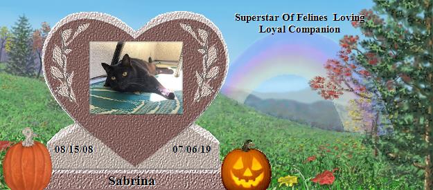 Sabrina's Rainbow Bridge Pet Loss Memorial Residency Image