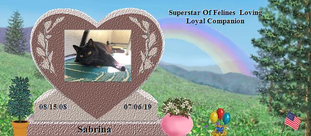 Sabrina's Rainbow Bridge Pet Loss Memorial Residency Image