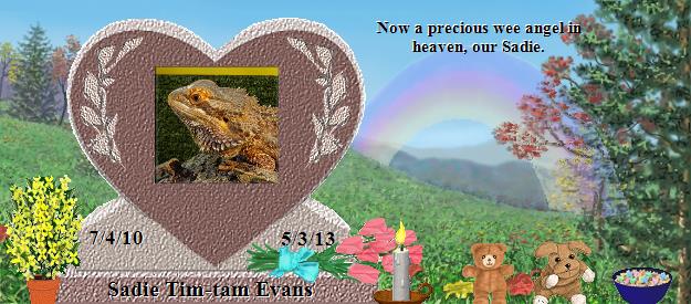 Sadie Tim-tam Evans's Rainbow Bridge Pet Loss Memorial Residency Image