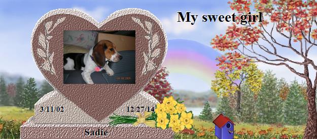 Sadie's Rainbow Bridge Pet Loss Memorial Residency Image