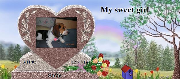 Sadie's Rainbow Bridge Pet Loss Memorial Residency Image