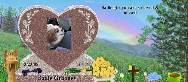 Sadie Grooney's Rainbow Bridge Pet Loss Memorial Residency Image