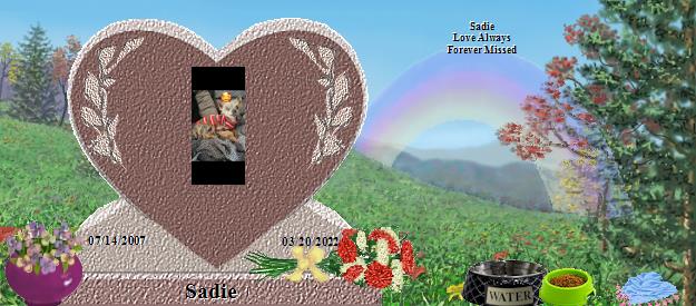 Sadie's Rainbow Bridge Pet Loss Memorial Residency Image