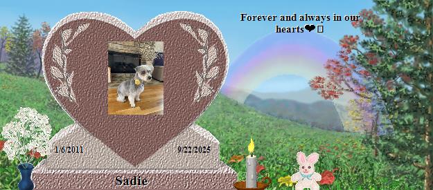 Sadie's Rainbow Bridge Pet Loss Memorial Residency Image
