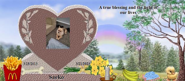 Saeko's Rainbow Bridge Pet Loss Memorial Residency Image