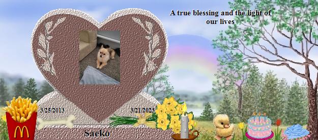 Saeko's Rainbow Bridge Pet Loss Memorial Residency Image