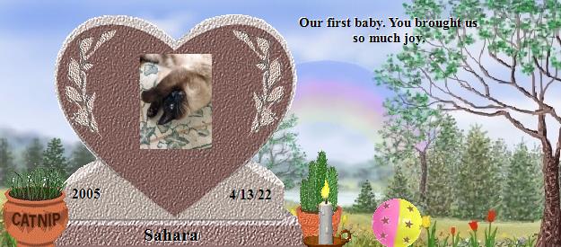 Sahara's Rainbow Bridge Pet Loss Memorial Residency Image