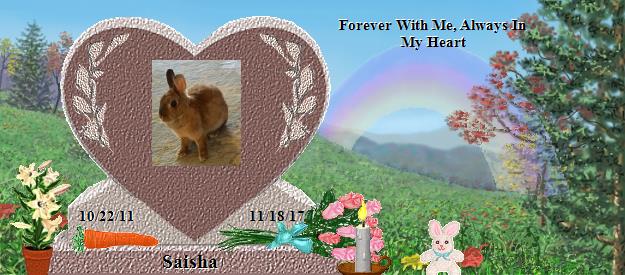 Saisha's Rainbow Bridge Pet Loss Memorial Residency Image