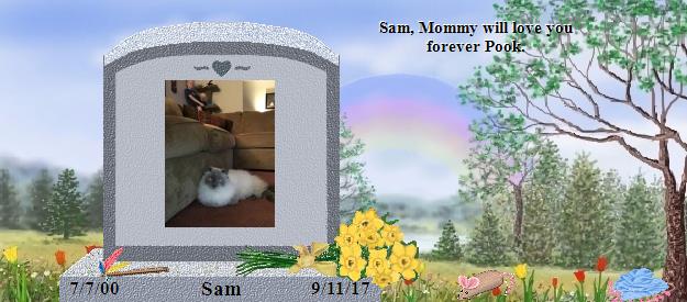 Sam's Rainbow Bridge Pet Loss Memorial Residency Image