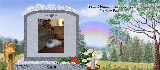 Sam's Rainbow Bridge Pet Loss Memorial Residency Image