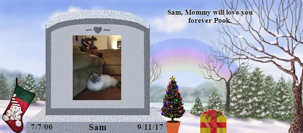 Sam's Rainbow Bridge Pet Loss Memorial Residency Image