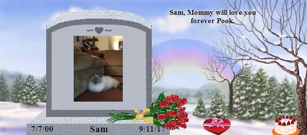 Sam's Rainbow Bridge Pet Loss Memorial Residency Image