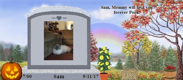 Sam's Rainbow Bridge Pet Loss Memorial Residency Image