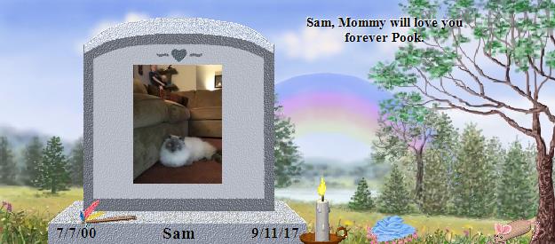 Sam's Rainbow Bridge Pet Loss Memorial Residency Image