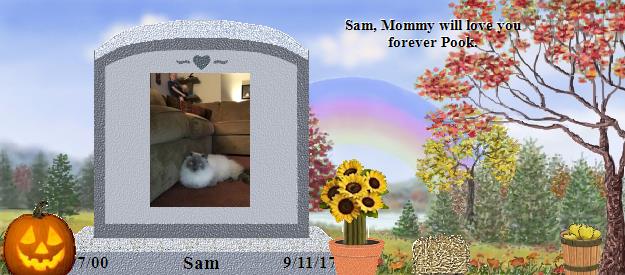 Sam's Rainbow Bridge Pet Loss Memorial Residency Image