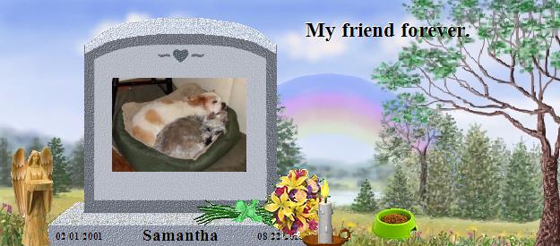 Samantha's Rainbow Bridge Pet Loss Memorial Residency Image