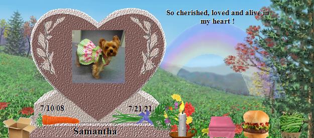 Samantha's Rainbow Bridge Pet Loss Memorial Residency Image