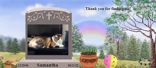 Samantha's Rainbow Bridge Pet Loss Memorial Residency Image