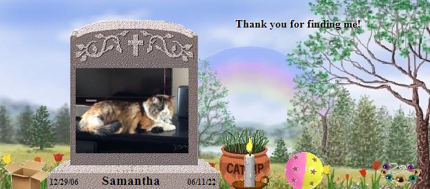 Samantha's Rainbow Bridge Pet Loss Memorial Residency Image
