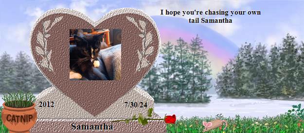 Samantha's Rainbow Bridge Pet Loss Memorial Residency Image