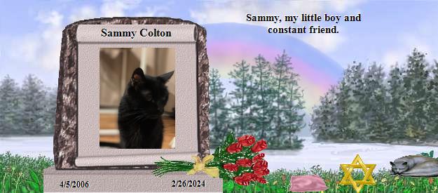 Sammy Colton's Rainbow Bridge Pet Loss Memorial Residency Image