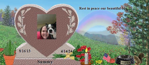 Sammy's Rainbow Bridge Pet Loss Memorial Residency Image