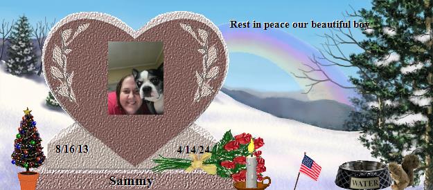 Sammy's Rainbow Bridge Pet Loss Memorial Residency Image