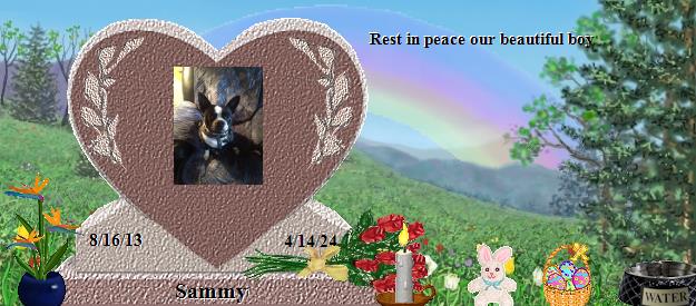 Sammy's Rainbow Bridge Pet Loss Memorial Residency Image